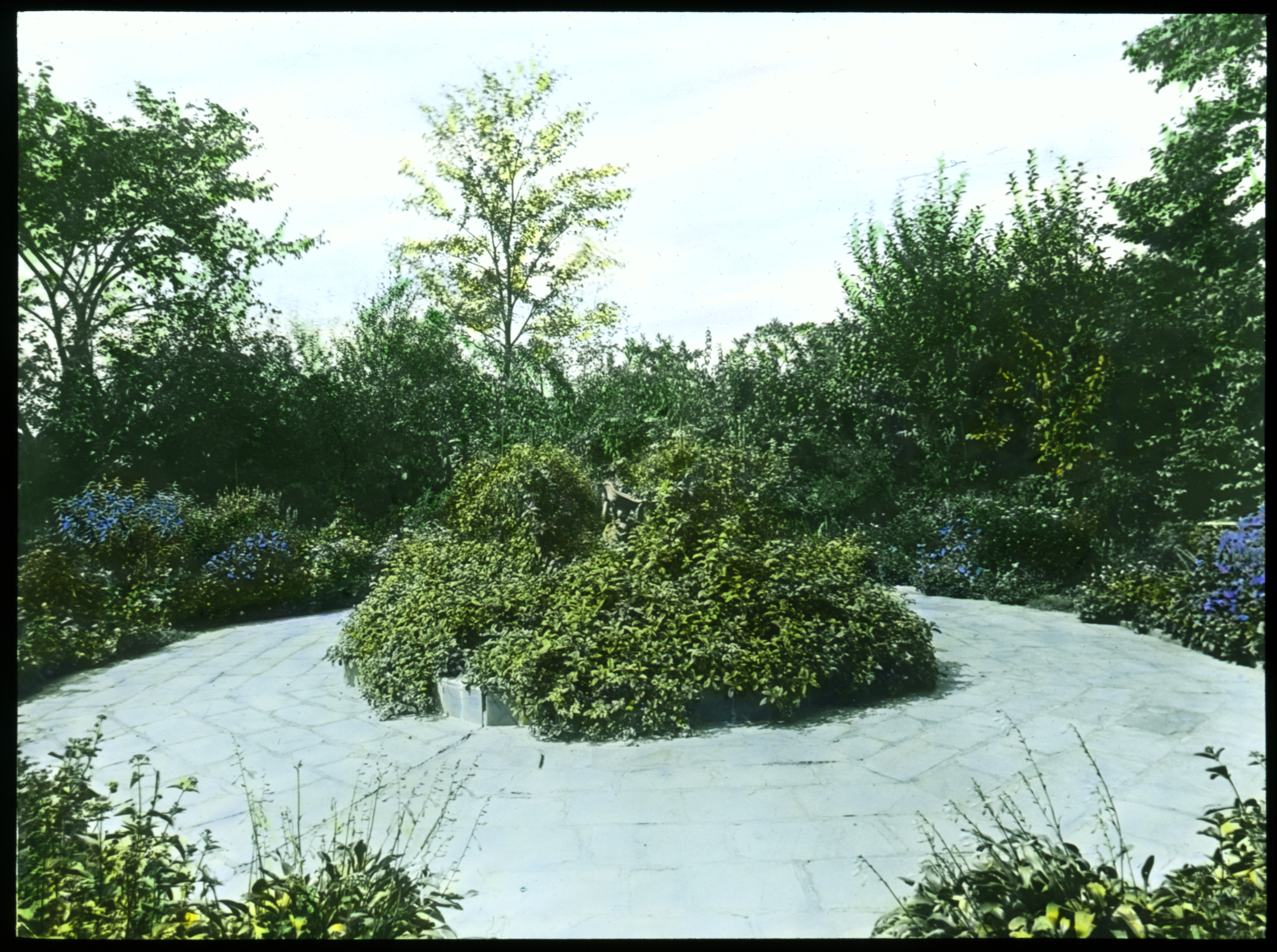 017 Miss Chalfant, Blue Garden