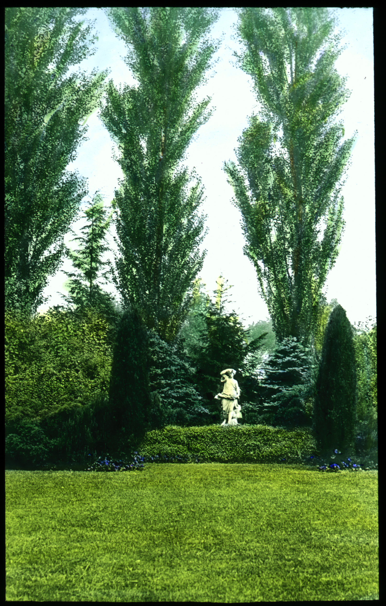 021 Mrs Frank Dravo "Flora"
