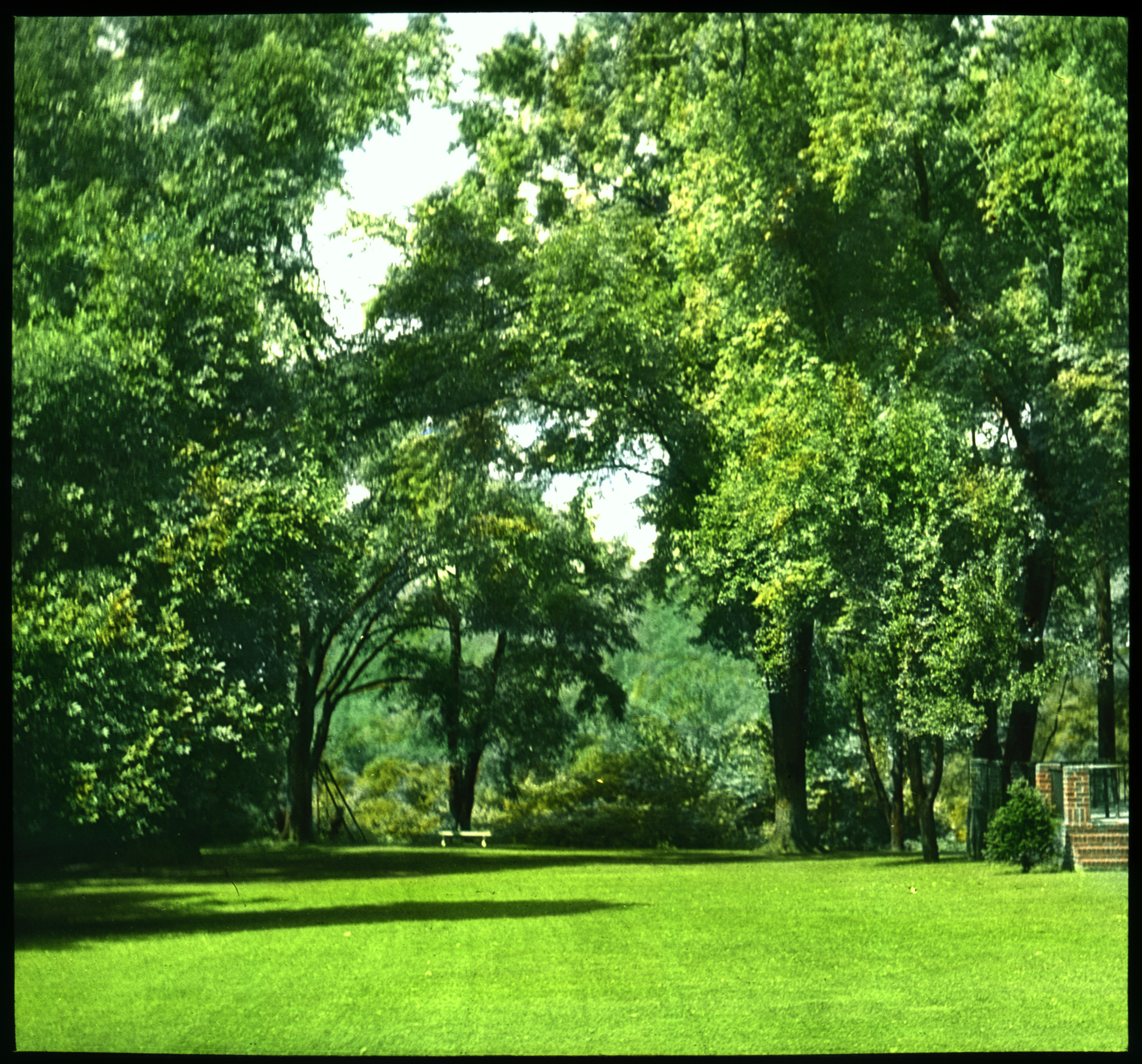 023 Mrs Charles Doyle, Vineacre, Sewickley