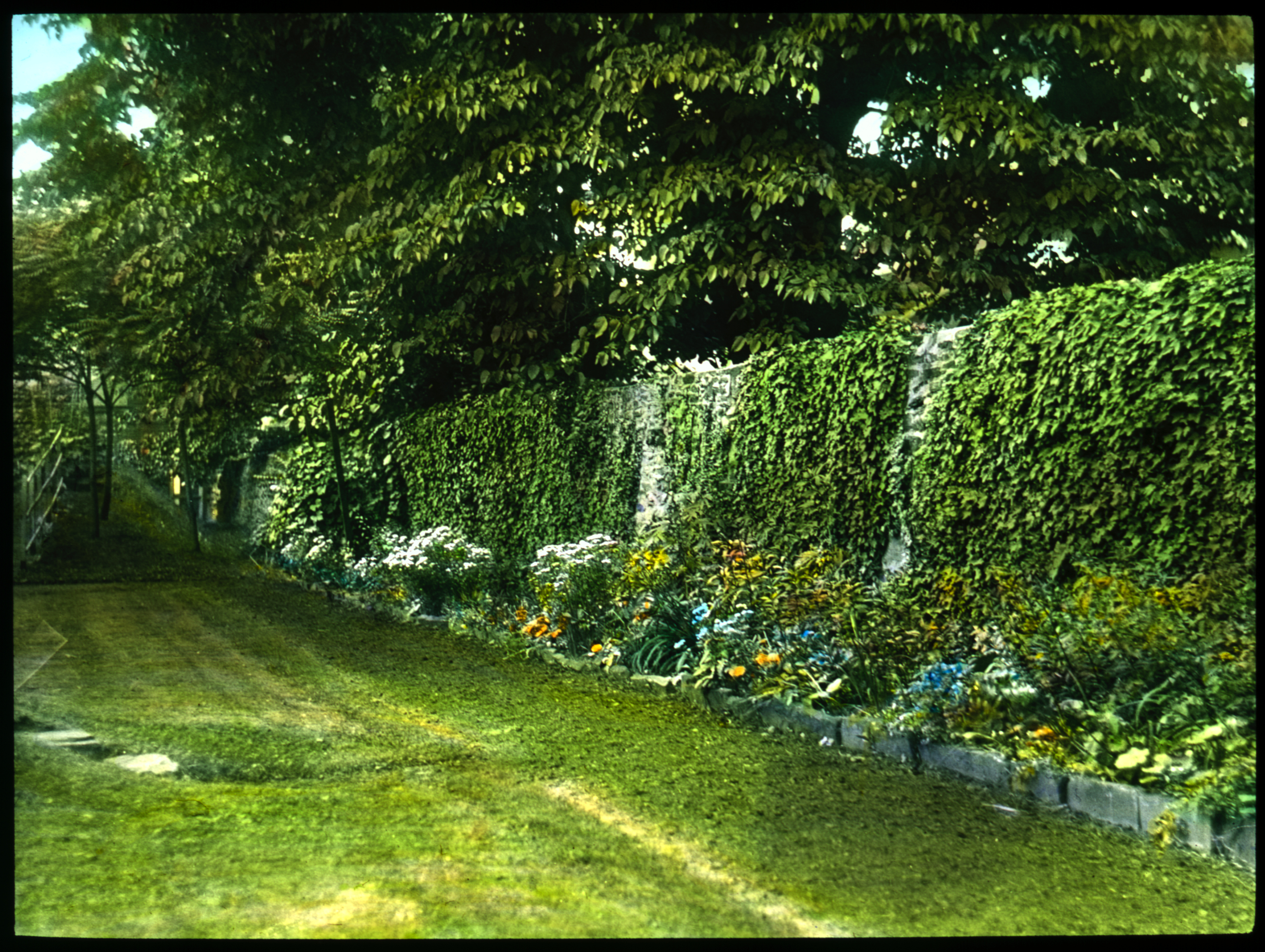 025 Economy Garden
