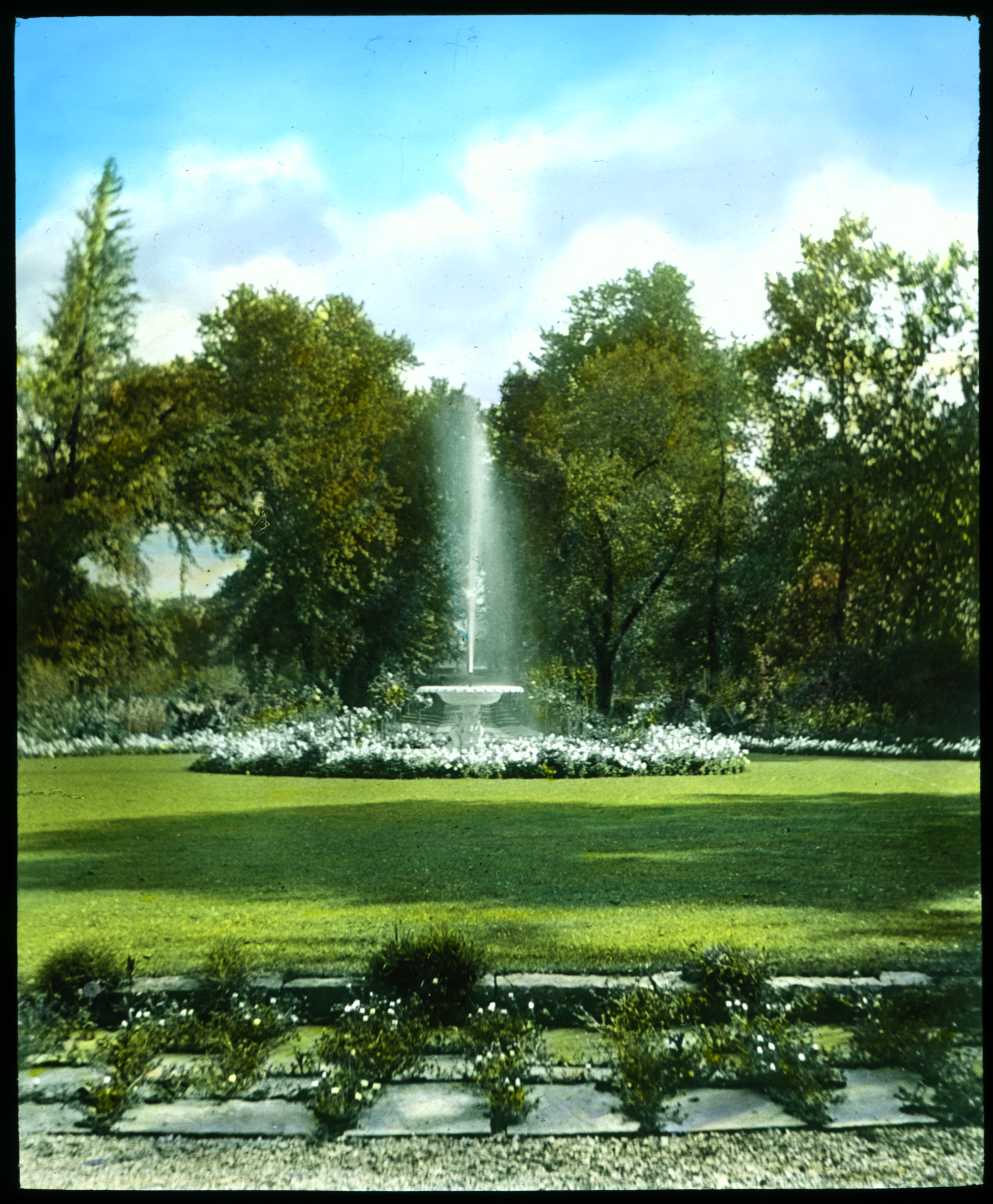035 Mrs James D. Hailman, White Garden