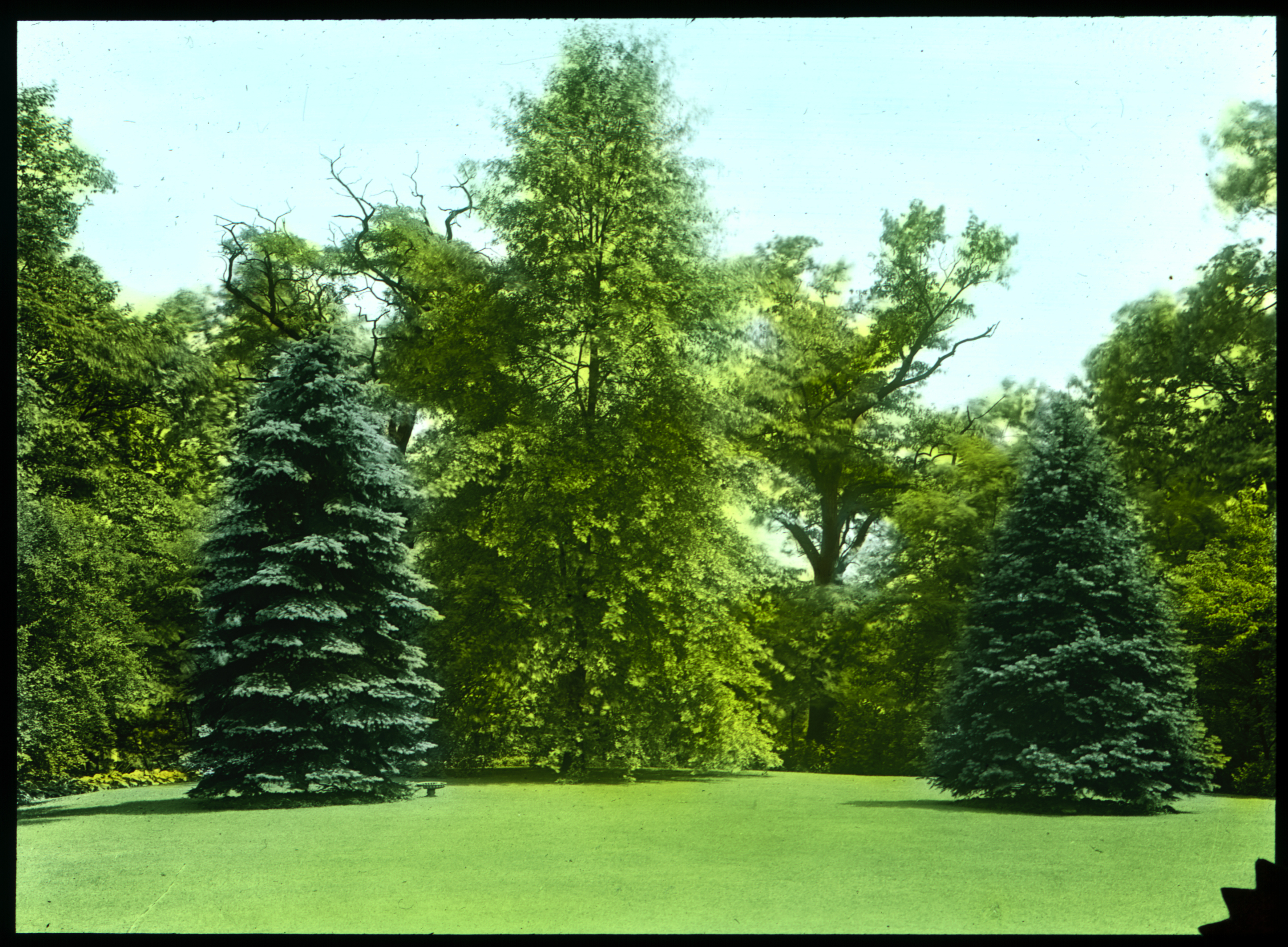 157 Mrs Tracy W. Guthrie, Allegheny Garden Club