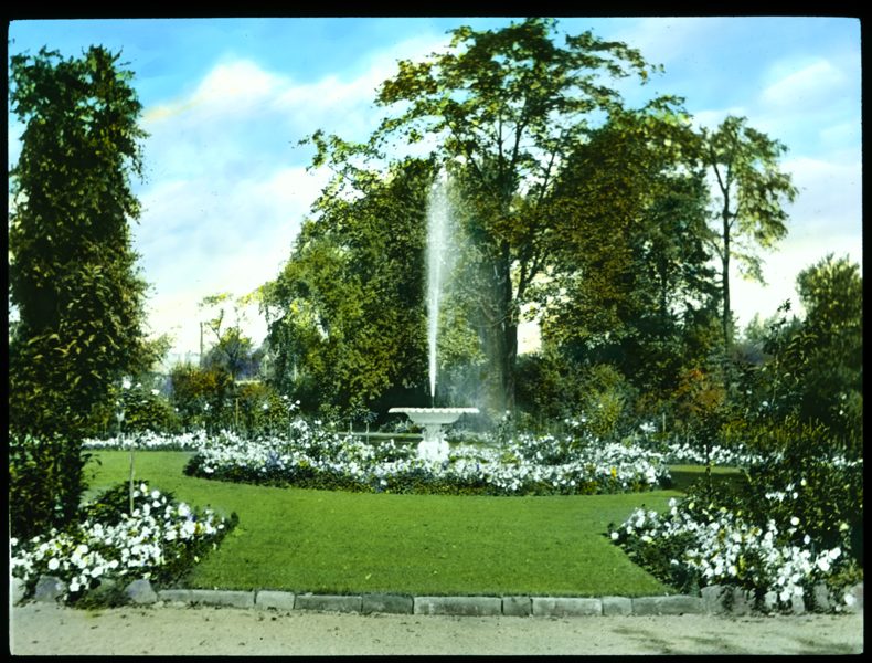 034 Mrs James D. Hailman, White Garden