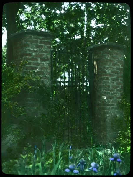 037 Mrs Wm M Hall