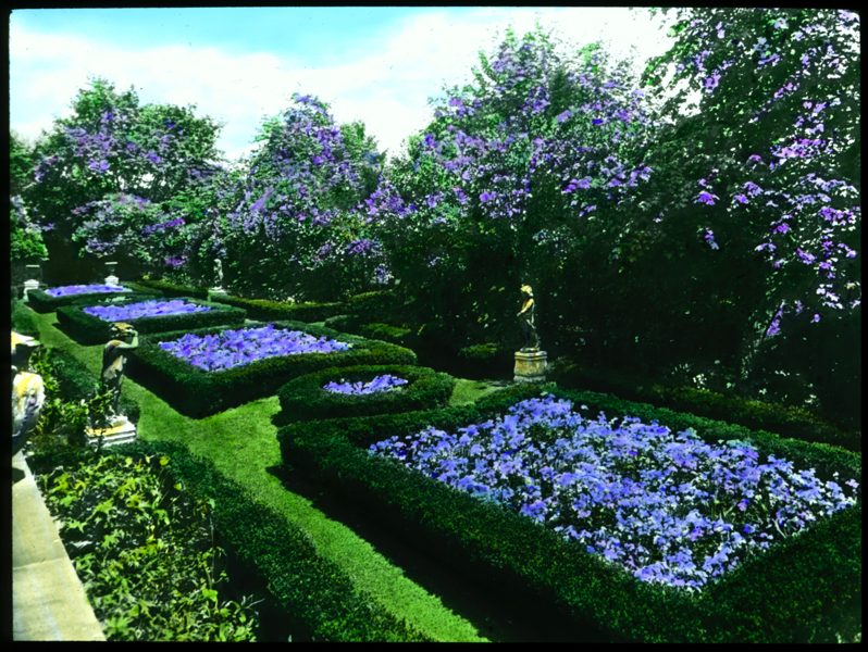 099 Mrs Henry R. Rea, Lilacs & Phlox & Box